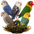 Lovebird Pair