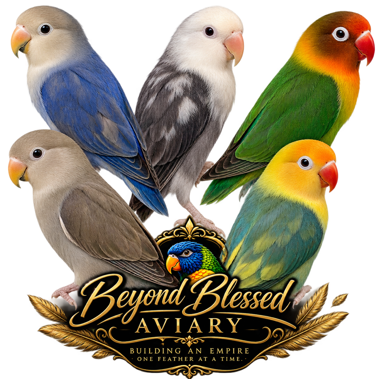 Lovebird Pair