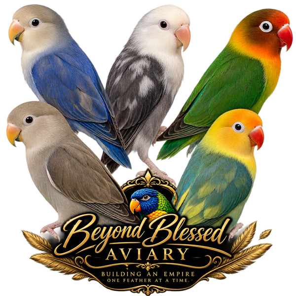 Lovebird Pair