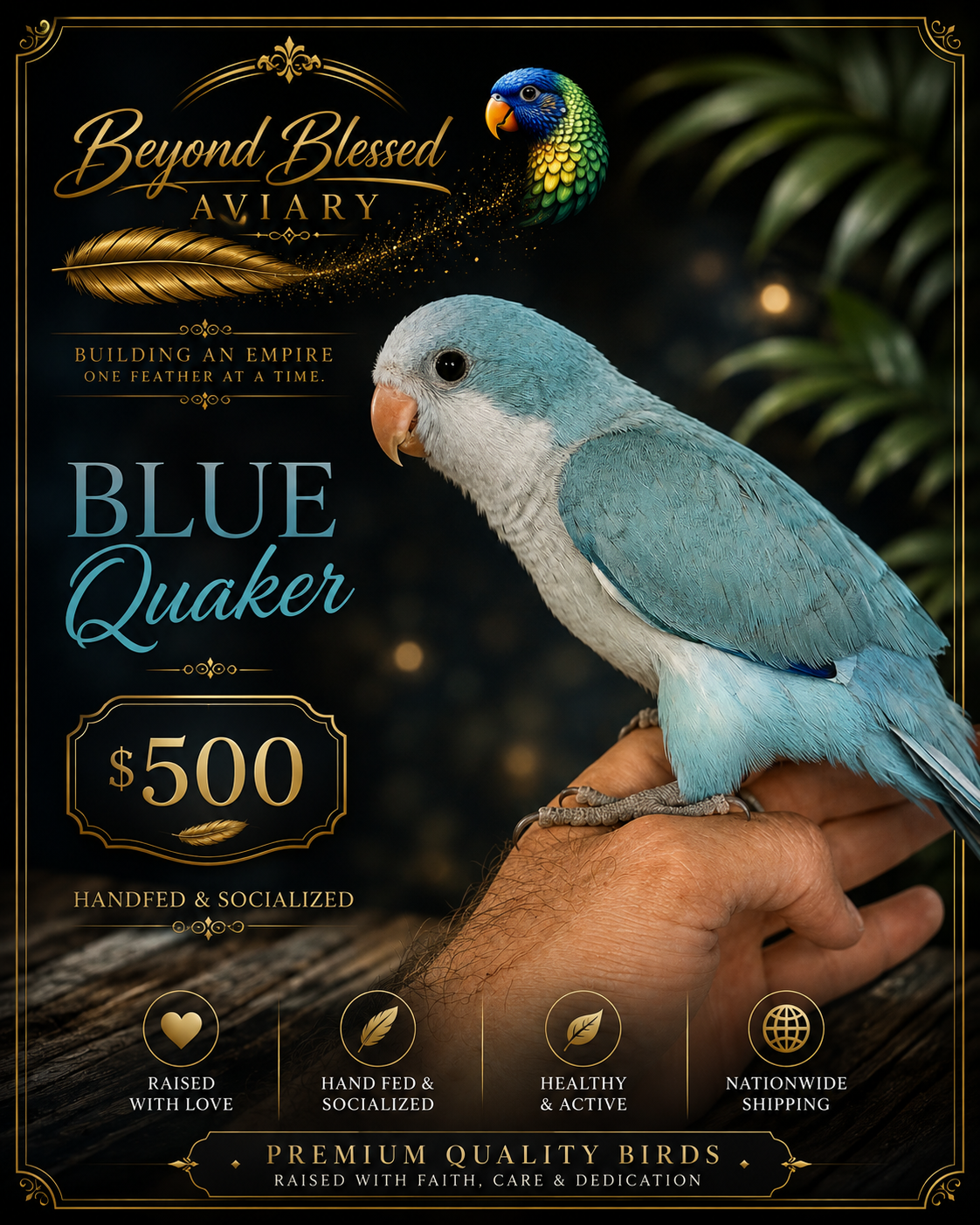 Blue Quaker