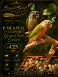Pineapple or High Red Yellowside Green Cheek