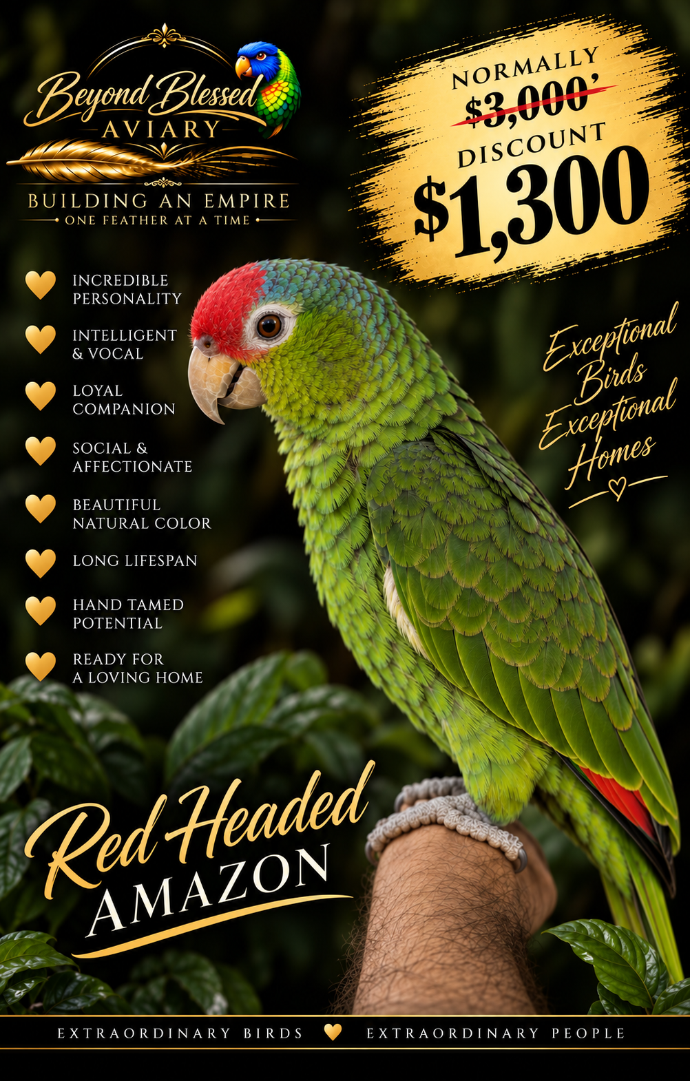 Red Headed Amazon